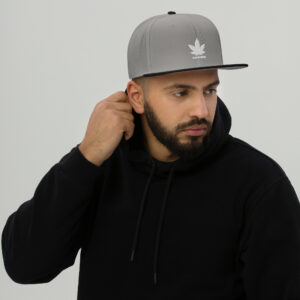 Snapback Hat - Black / Gray / Gray