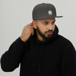 Snapback Hat - Charcoal gray