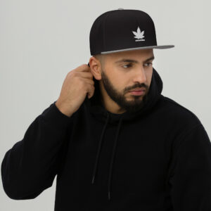 Snapback Hat - Gray / Black / Black