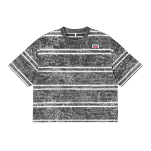 Snow Washed Stripe Boxy T-shirt - Gray, 2XL