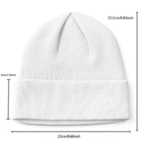 Winter Knitted Beanie