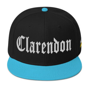 Snapback Hat - Aqua blue / Black / Black
