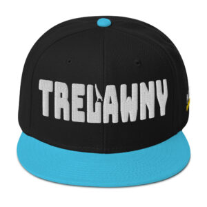 Snapback Hat - Aqua blue / Black / Black