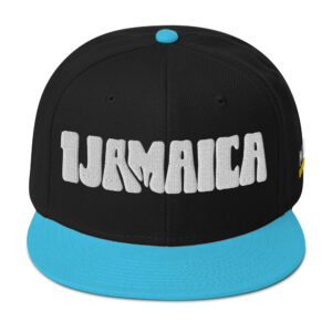 Snapback Hat - Aqua blue / Black / Black