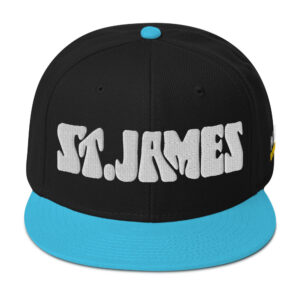 Snapback Hat - Aqua blue / Black / Black