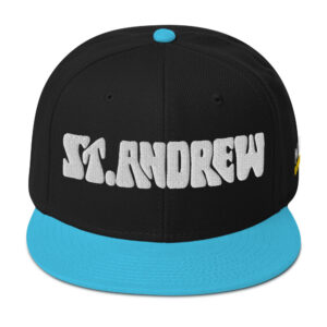 Snapback Hat - Aqua blue / Black / Black
