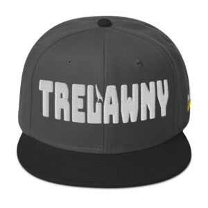 Snapback Hat - Black / Charcoal gray / Charcoal gray