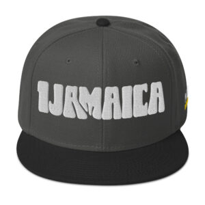 Snapback Hat - Black / Charcoal gray / Charcoal gray