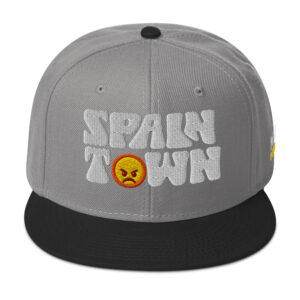 Snapback Hat - Black / Gray / Gray