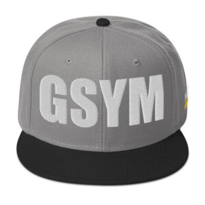 Snapback Hat - Black / Gray / Gray