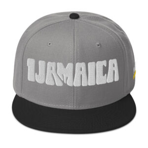 Snapback Hat - Black / Gray / Gray