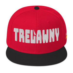 Snapback Hat - Black / Red / Red