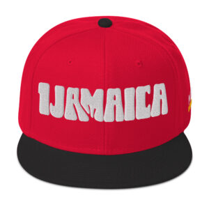 Snapback Hat - Black / Red / Red