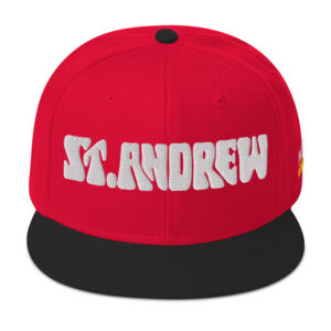Snapback Hat - Black / Red / Red