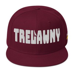 Snapback Hat - Burgundy maroon