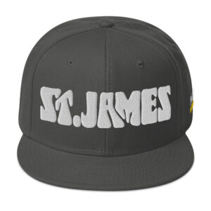 Snapback Hat - Charcoal gray