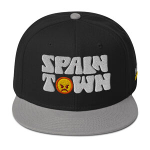 Snapback Hat - Gray / Black / Black