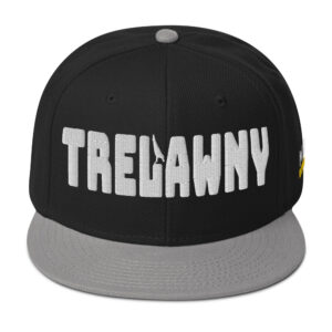 Snapback Hat - Gray / Black / Black