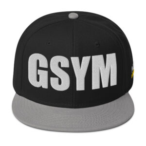 Snapback Hat - Gray / Black / Black