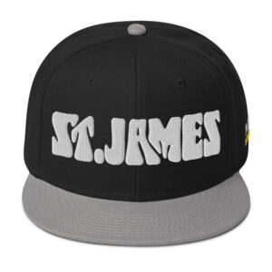 Snapback Hat - Gray / Black / Black