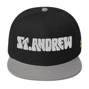 Snapback Hat
