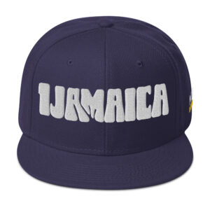 Snapback Hat - Navy blue