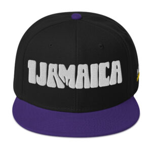Snapback Hat - Purple / Black / Black