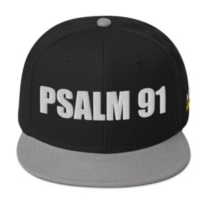 Snapback Hat - Gray / Black / Black